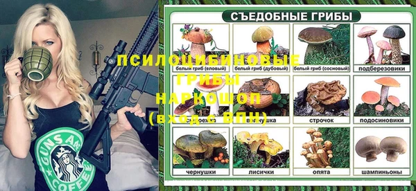 хмурый Верхний Тагил
