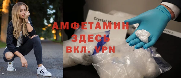прущие грибы Верея