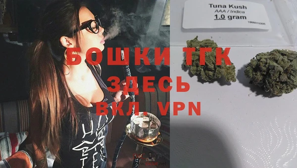 хмурый Верхний Тагил