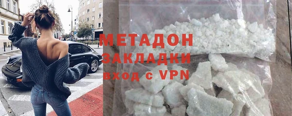 прущие грибы Верея