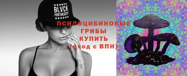 МДПВ Россошь