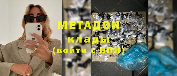 прущие грибы Верея