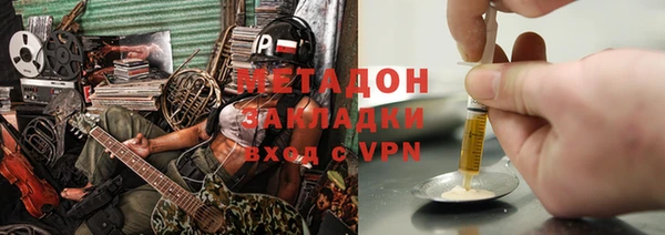 прущие грибы Верея